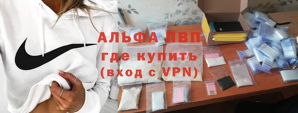 сатива Балахна