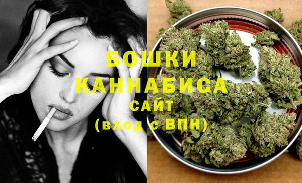 сатива Балахна