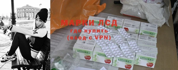 сатива Балахна