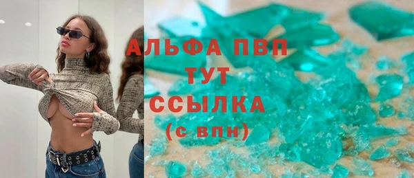 сатива Балахна
