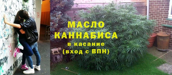 сатива Балахна